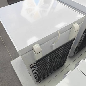 Refrigerador Vertical Doméstico OEM de 91L con Puerta Superior Abatible, Refrigerador Vertical de Bajo Consumo - Product Image 3