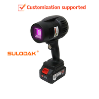 Lampe d'inspection UV - Détecteur de défauts de peinture automobile UVLED rechargeable pour la restauration d'objets anciens, l'évaluation de l'authenticité du jade