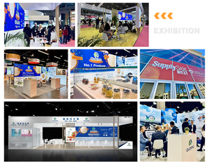 Gelatina idrolizzata, gelatina commestibile, gelatina sfusa, polvere di pesce halal e kosher - Product Image 3