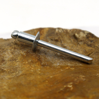 Rivet aveugle spécial personnalisé en aluminium/fer DIN7337 de 2,5 mm/4,8 mm/6 mm, basé sur un dessin industriel