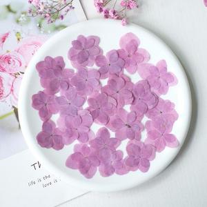 Fiori di Ortensia Naturali Essiccati a Doppio Petalo per Creazioni Fai-da-Te, Custodie per Telefoni in Resina Epossidica e Forniture per Gioielli in Resina - Product Image 3
