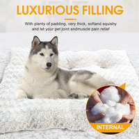Coussin pour animaux de compagnie en coton et soie épaisse, fiable et durable, doux et chaud, non amovible, pour toutes les saisons, idéal pour le salon.
