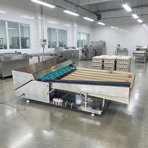 Máquina Clasificadora de Huevos de Péndulo, 2000 Huevos por Hora, Compacta, de Acero Inoxidable, con Equipo de Clasificación Automática - Product Image 4