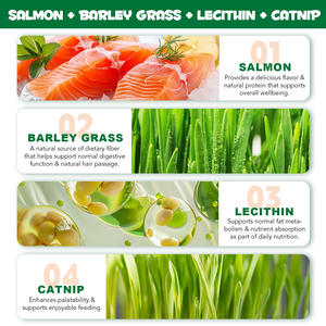 Oimmal 180g, Galletas <span class=keywords><strong>de</strong></span> Hierba Gatera Orgánica con Salmón, Mini Snacks para <span class=keywords><strong>Gatos</strong></span>, Cuidado Dental, Control <span class=keywords><strong>de</strong></span> <span class=keywords><strong>Bolas</strong></span> <span class=keywords><strong>de</strong></span> <span class=keywords><strong>Pelo</strong></span> - Product Image 2