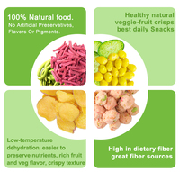 Fruits secs mélangés, chips de légumes, aliments de loisirs sains, vente en gros, snacks transformés VF, chips de banane frites sous vide, saveurs OEM
