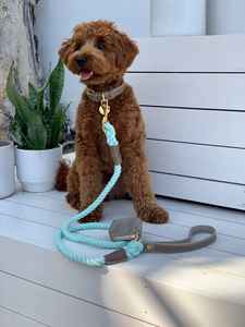 Porte-sac à déjections canines et distributeur de sacs à crottes en nylon fait main personnalisé avec rivets, cadeaux pour garçons et filles - Product Image 4