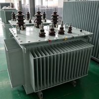 Transformateur de distribution immergé dans l'huile triphasé S13-M 30 kVA 100 kVA 250 kVA 50/60 Hz pour équipements électriques et électroniques