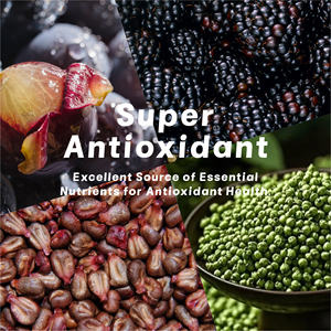 Tablet Antioksidan Ampuh Ekstrak Zanthoxylum Resveratrol NAC Suplemen Antioksidan Super untuk Wanita & Pria - Product Image 2