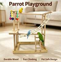 Support de jeu pour perroquet en bois naturel personnalisé, fabriqué en Chine, aire de jeux pour oiseaux, jouet d'entraînement pour perroquet, vente en gros