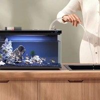 Aquarium de bureau intelligent avec contrôle par application téléphonique, alimentation automatique, éclairage RGB intelligent, réservoir en verre pour poissons et crevettes, idéal pour la maison ou le bureau.