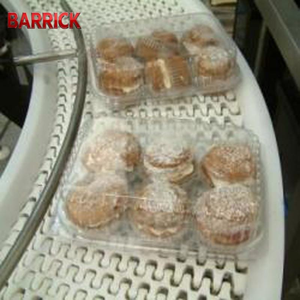 Gıda Sınıfı Beyaz POM Modüler Kaymaz Konveyör Zinciri, Verimli Yiyecek ve İçecek Paketleme Sistemleri Özelleştirmesi için Konveyör - Product Image 5