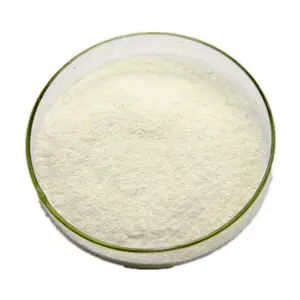 Phụ gia thực phẩm glucoamylase bột CAS 9032-08-0 glucoamylase Enzyme