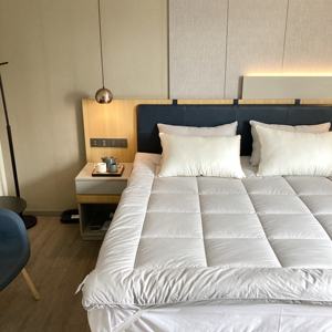 Otel koleksiyonu 233TC yıkanabilir yatak koruyucu Anti tahta kurusu yatak pedi yatak <span class=keywords><strong>Topper</strong></span> - Product Image 2