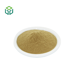 Pó de Extrato de Cogumelos <span class=keywords><strong>Enoki</strong></span> Flammulina Velutipes Orgânico de Grau Alimentício para Atacado em Embalagens de Garrafa/Lata/Tambor - Product Image 3