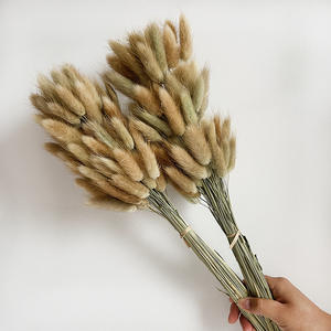 IFG gros bouquet Mini <span class=keywords><strong>Lagurus</strong></span> fleurs séchées naturelles pour mariage vivant décors à la maison - Product Image 2