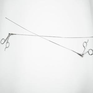 Endoscópio Urológico de Alta Qualidade, Endoscópio Óptico de Nível Profissional para Pinças Cirúrgicas - Product Image 4