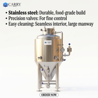 Cuve de Fermentation de Bière 3,5 BBL, Réservoir sous Pression Isolé, Fermenteur Unitank, Fermenteur Conique, Équipement de Brassage de Bière Artisanale SUS304