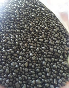 Fertilizantes agricolas libèrent lentement Agriculture <span class=keywords><strong>Composition</strong></span> d'algues granulaires noires <span class=keywords><strong>Engrais</strong></span> bio organique - Product Image 3