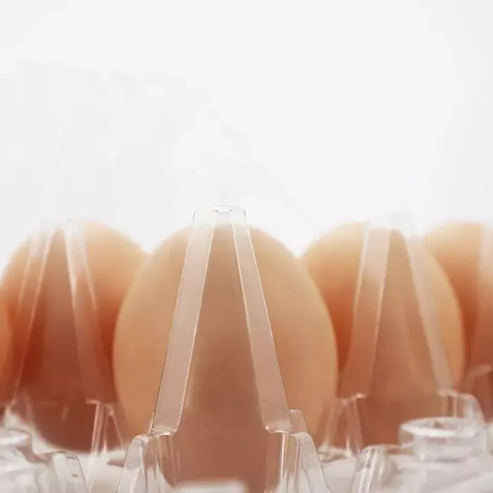 Bandeja plástica personalizada do ovo do tamanho do fabricante para o armazenamento