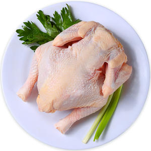 Producción mensual certificada de 10.000 toneladas de <span class=keywords><strong>pollo</strong></span> Halal congelado (<span class=keywords><strong>sin</strong></span> cabezas de pies) con piezas de ala de pata de cuerpo empaquetadas en bolsas - Product Image 2