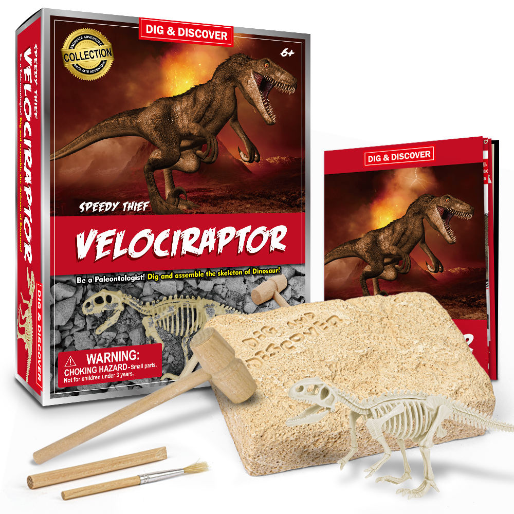 Kits de Dig Velociraptor