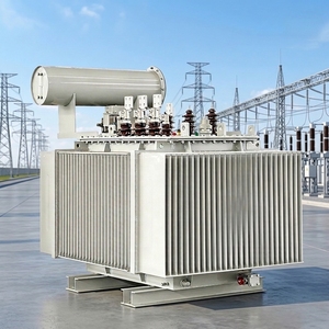 Transformador de Distribución Sumergido en Aceite de Cobre S13 de 22kV 1000kVA Estándar de Sudáfrica IEC60076 para Actualización de la Red de Eskom - Product Image 6