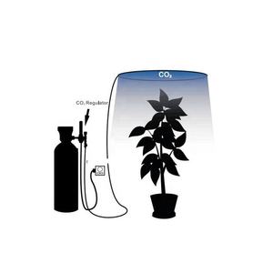 Système d'émetteur <span class=keywords><strong>de</strong></span> régulateur <span class=keywords><strong>de</strong></span> CO2 hydroponique avec débitmètre à électrovanne pour salle <span class=keywords><strong>de</strong></span> culture tente <span class=keywords><strong>de</strong></span> culture <span class=keywords><strong>maison</strong></span> <span class=keywords><strong>de</strong></span> jardin - Product Image 2