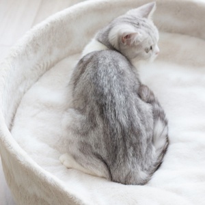 Heißes Plüsch rundes Katzen bett Katze warmes Haus weiches langes Plüsch Haustier Hunde bett für kleine Hunde Katzen nest 2 in 1 Haustier bett Kissen Schlafs ofa - Product Image 6