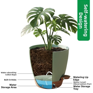 P472 <span class=keywords><strong>Pot</strong></span> de fleurs <span class=keywords><strong>suspendu</strong></span> moderne à niveau d'eau visible, auto-arrosant, pour orchidées, avec soucoupe et chaîne en fer, pour décoration intérieure et extérieure - Product Image 2