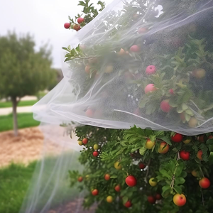HDPE <span class=keywords><strong>Uv</strong></span> Invernadero agrícola Redes de <span class=keywords><strong>insectos</strong></span> de plástico Malla para la venta Jardín 40 50 Malla Proteger Red de malla a prueba de <span class=keywords><strong>insectos</strong></span> - Product Image 1