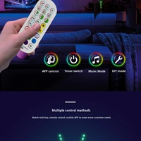 Bande LED intelligente RVB en gros, synchronisation musicale, lumières de feux d'artifice dynamiques 5V, décoration avec télécommande/application