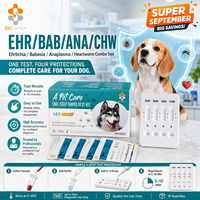 Super Septembre Kit de test rapide pour chien EHR/LYM/ANA/CHW Ehrlichia Lyme Anaplasma Test rapide du filariose