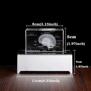 Cristallo originale Laser 3D cervello esemplari cubo di vetro interpretazione medica modello ospedale Souvenir regalo - Product Image 2