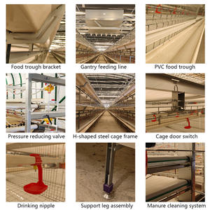 Equipo avícola de cosecha automática Tipo H Jaula para pollos de engorde de piso extraíble para 50000 pollos en Estados Unidos - Product Image 5