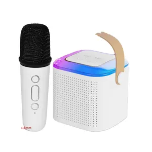 Nhà máy tùy chỉnh âm thanh di động có thể được kết nối Bluetooth Microphone Karaoke Bluetooth Loa