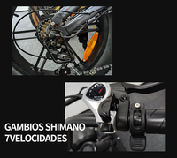 Jansno X50 Vélo Électrique de l'Entrepôt DE, 250W 48V 20 Pouces, Batteries au Lithium 14Ah-17Ah, Cadre en Acier, Moteur de Moyeu Arrière