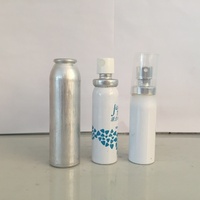 Vente en gros Aérosol en métal aluminium en fer blanc avec pulvérisateur et valve pour déodorant en spray