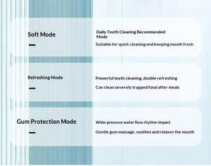 Hydropulseur dentaire portable sans fil contrôlé par application - Étanche IPX7, 3 modes et réservoir de 280 ml pour une utilisation en extérieur, à l'hôtel et en voyage - Product Image 6