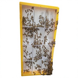 New Beekeeping Supplies Plastic Honey Frames & <b>Foundations</b> 1 Year Warranty Honey Comb Making Box - Product Image 3