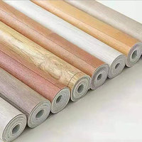 Revêtement de sol en vinyle plastique, tapis, vinyle en rouleau, linoléum