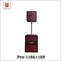 Sistema de Sonido Profesional Pro-110 Line Array para Eventos y Fiestas en Interiores y Exteriores