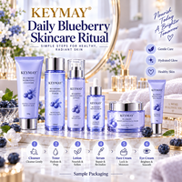 Set Perawatan Kulit Asam Hialuronat Blueberry Korea Niacinamide Melembapkan Mengencangkan Label Pribadi OEM ODM Produsen Grosir