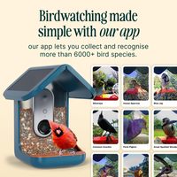 Mangeoire à oiseaux en bois avec caméra, alimentée par énergie solaire, vidéo 2K HD, diffusion en direct, identification des espèces d'oiseaux par IA, cadeau idéal pour observer