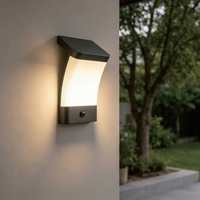 Lampe Murale Solaire IP54 avec Capteur de Proximité Optique, Panneau Monocristallin 0.2W LED 3 CCT, Liaison Indépendante 2.4G, Lampe de Jardin Portée 5-6m