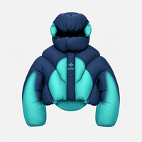 Veste matelassée biomorphique DiZNEW personnalisée pour homme, style streetwear, coupe sculpturale, panneaux organiques courbés, courte, rembourrée, usine BSCI
