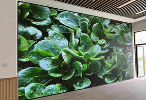 Indoor LED display <b>screens</b> and TV <b>walls</b> can be customized in size and come with a warranty - Product Image 5