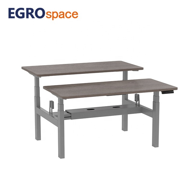 EGROspace Electric Computer Standing Design Sit Stand Table Ergonomic Dual Office Motor Adjustable Desk