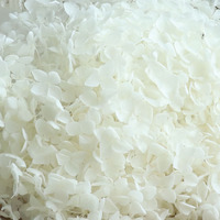 Penjualan Laris Bunga Asli Asli Asli Pabrikan Bunga Hortensia dengan Harga Terbaik untuk Dekor Pernikahan Rumah Hydrangea Putih