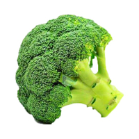 Complément de Sulforaphane Extrait de Germes de Brocoli Poudre de Sulforaphane 98% Pure Extrait de Germes de Brocoli en Poudre