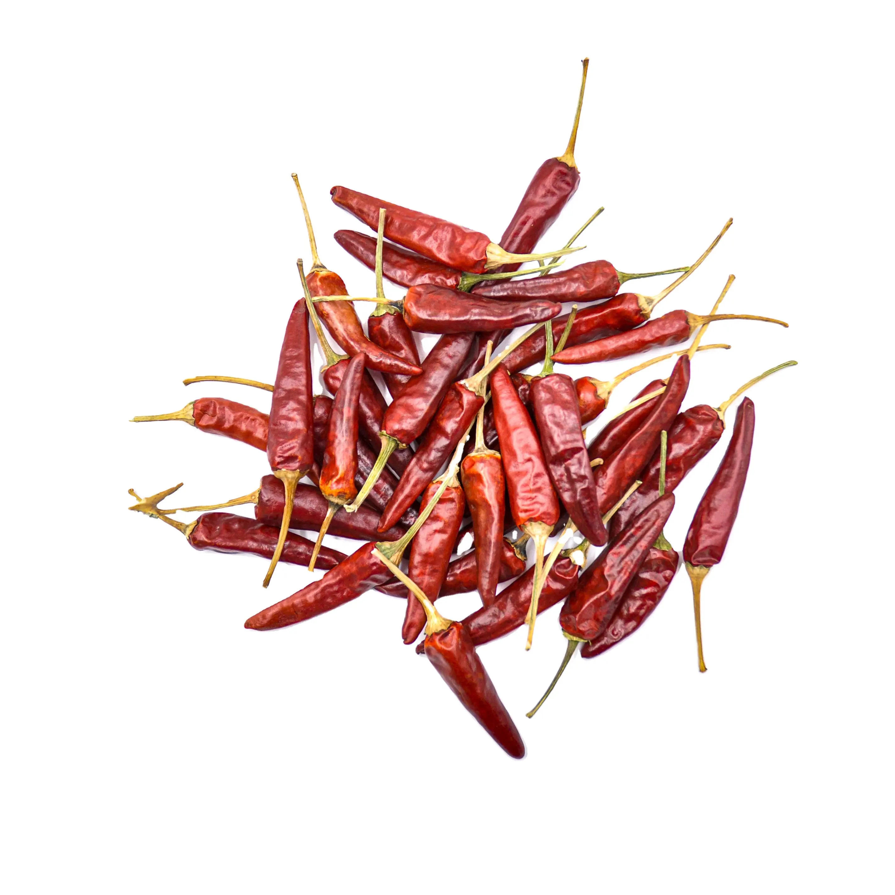 Épices biologiques chinoises, piment rouge sec, piment rouge sec, meilleure vente